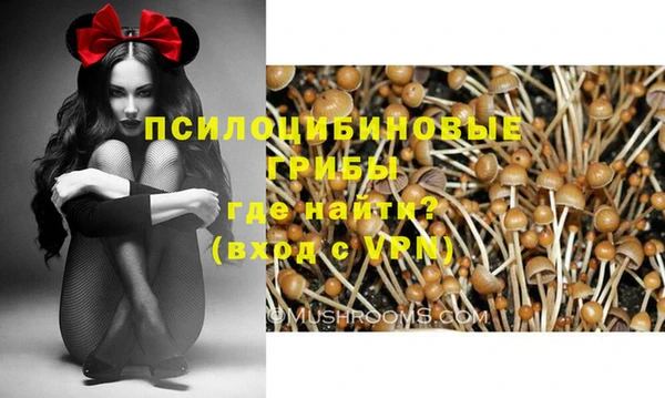 метадон Ростов