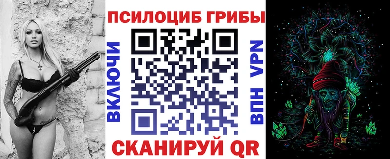 продажа наркотиков  Чкаловск  Галлюциногенные грибы Cubensis 